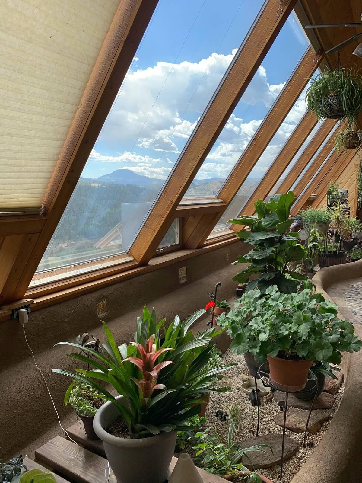Planter_view.jpg